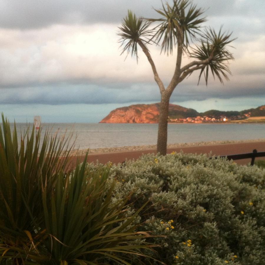 Cedar House, Formerly Shamrock House Llandudno Dış mekan fotoğraf